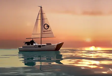 Open Ocean X MintDAO collection overview